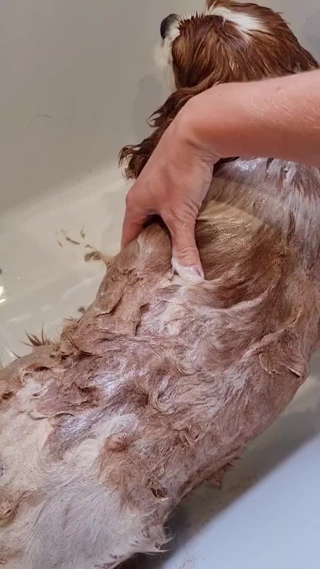 A salon’s Madra Mór mud-spa week